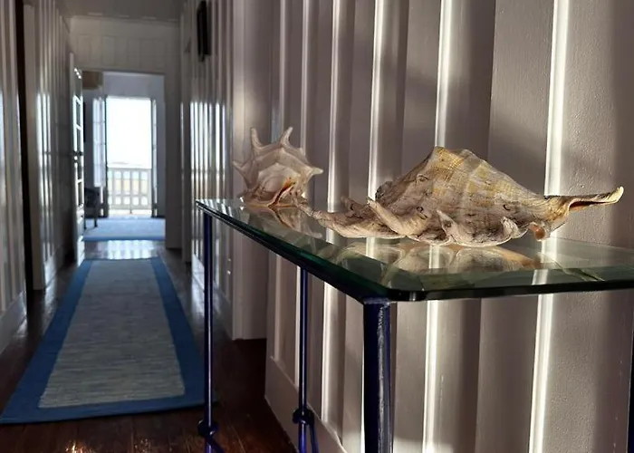 公寓 Palheiro Da Ana